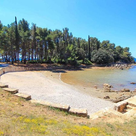 Vila Una With Private Pool Near Rovinj - Open 2022 罗维尼村 外观 照片
