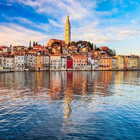 Vila Una With Private Pool Near Rovinj - Open 2022 罗维尼村 外观 照片
