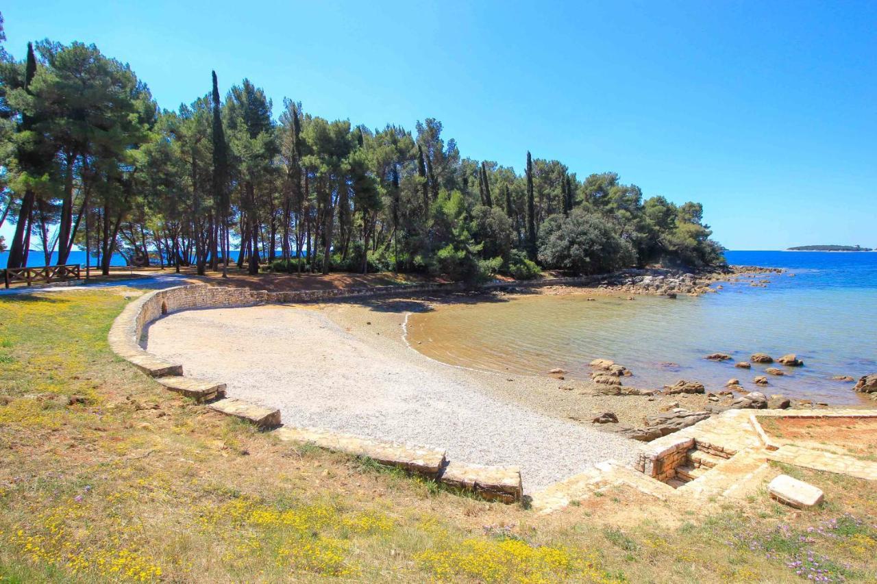 Vila Una With Private Pool Near Rovinj - Open 2022 罗维尼村 外观 照片