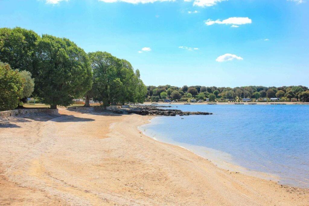 Vila Una With Private Pool Near Rovinj - Open 2022 罗维尼村 外观 照片